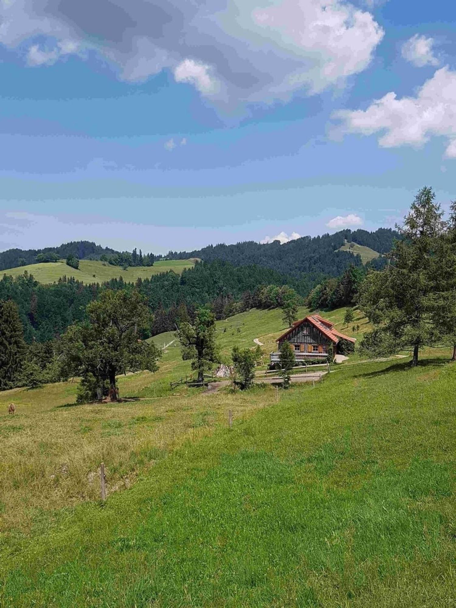 Appartement Nr 11, Oberstaufen-Steibis, Allgaeu, Oberstaufen Plus Eksteriør bilde