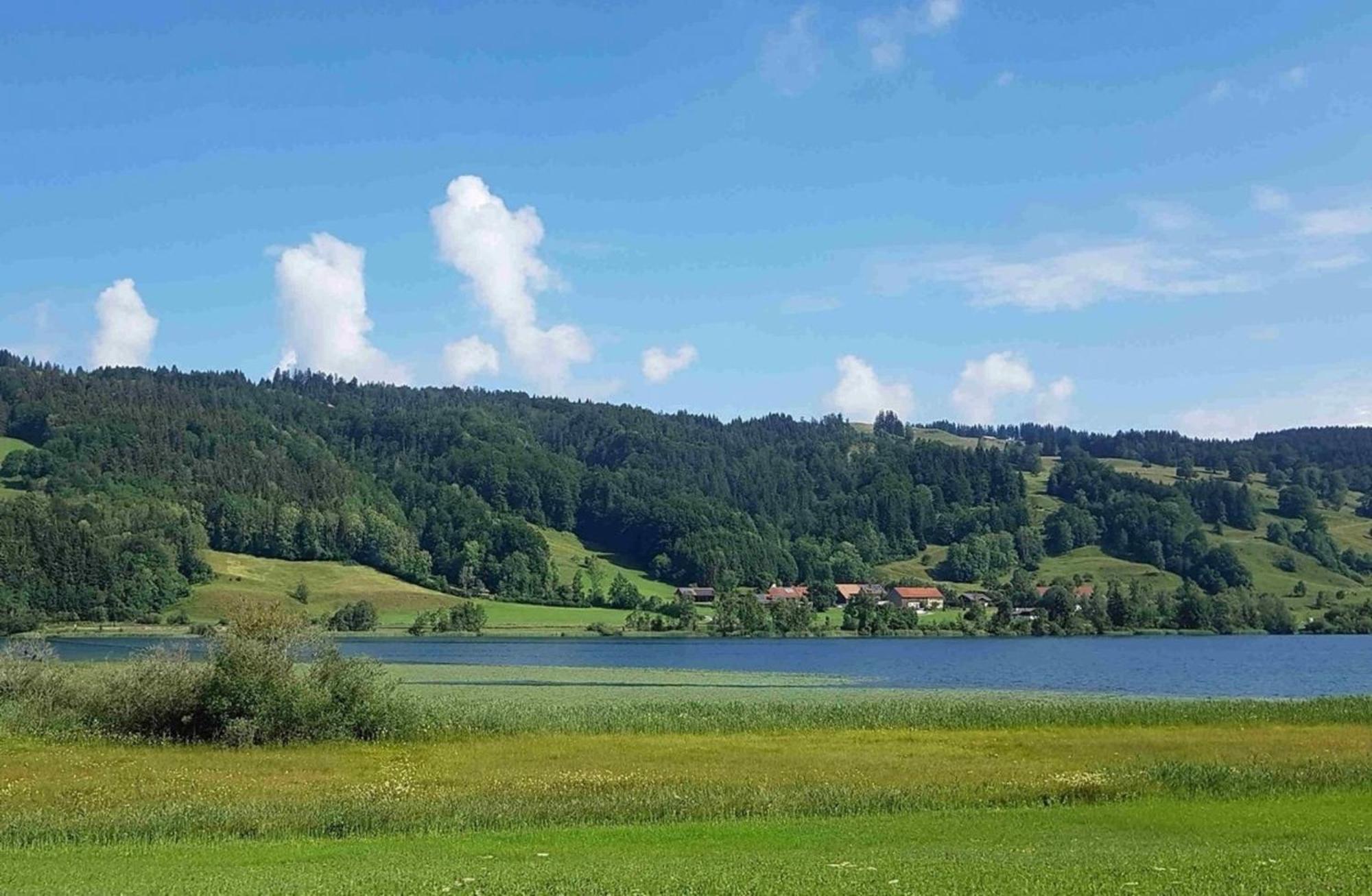 Appartement Nr 11, Oberstaufen-Steibis, Allgaeu, Oberstaufen Plus Eksteriør bilde